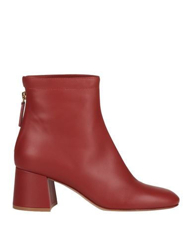 Gianvito Rossi Woman Ankle Boots Brick Red Size 6 Calfskin