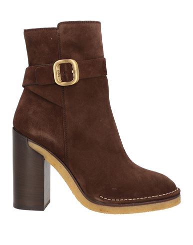 Tod's Woman Ankle Boots Chocolate Brown Size 6 Leather In Brown