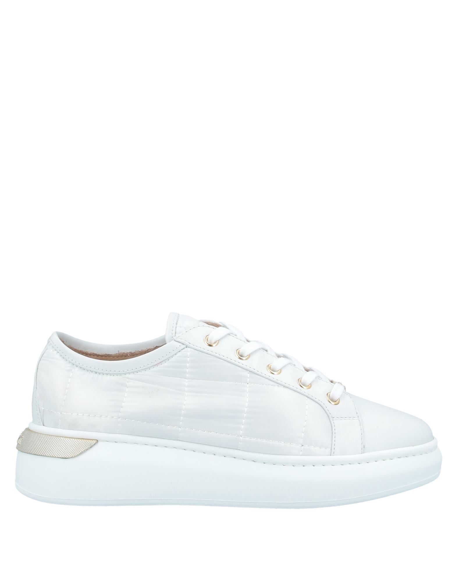 carvela trainers debenhams