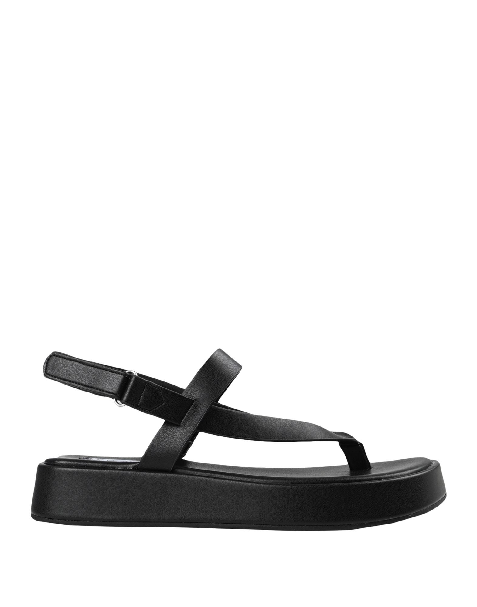 STEVE MADDEN ΠΑΠΟΥΤΣΙΑ Σαγιονάρες