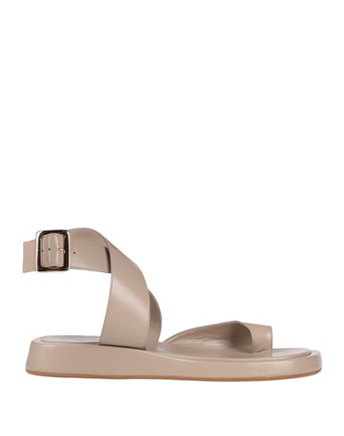 Gia Rhw Gia / Rhw Woman Thong Sandal Light Grey Size 6 Soft Leather In Beige