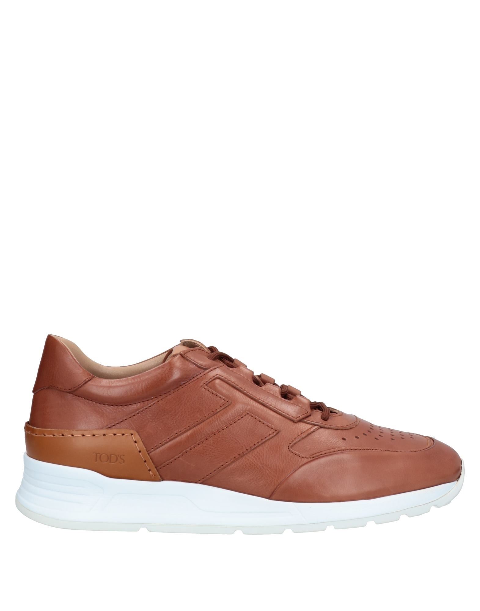 Tod's Sneakers In Brown