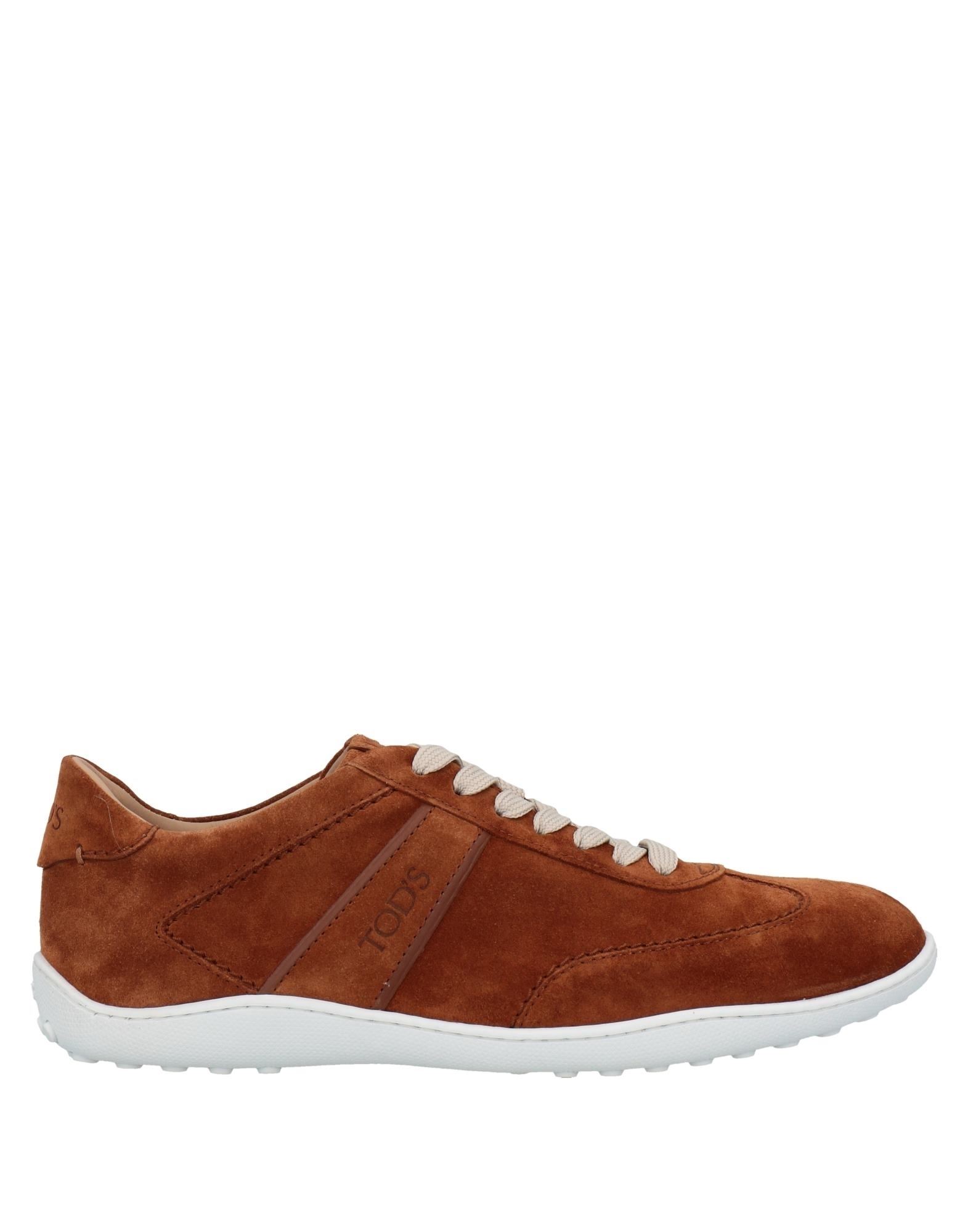 Tod's Sneakers In Brown