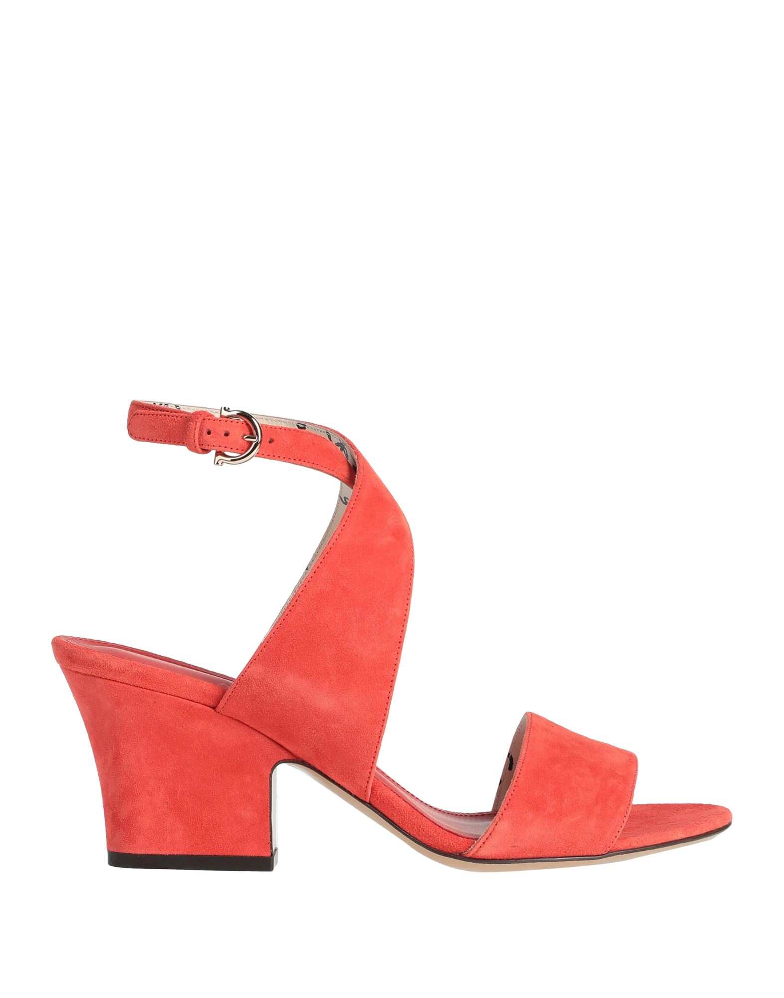 Shop Ferragamo Woman Sandals Orange Size 8 Calfskin