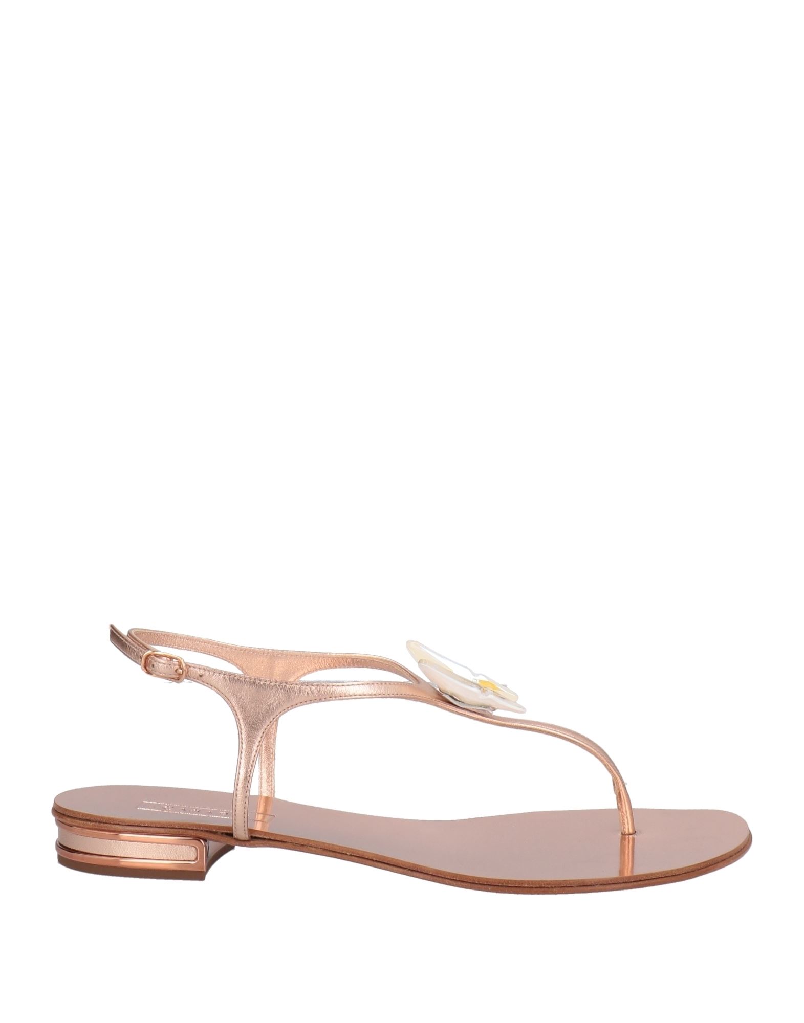 Casadei Toe Strap Sandals In Copper