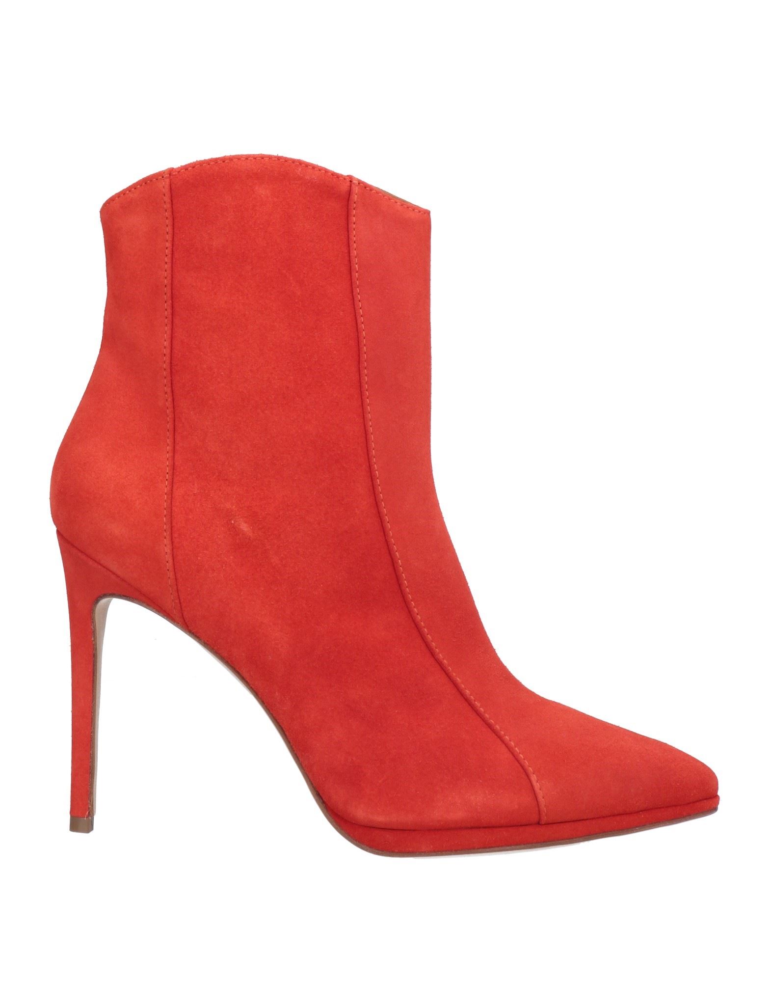 Dondup Ankle Boots In Coral