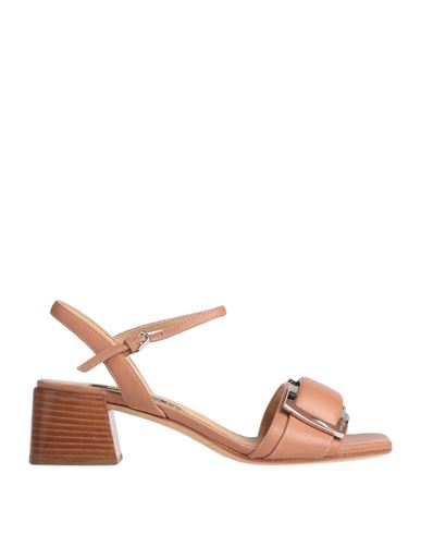 Sergio Rossi Woman Sandals Brown Size 6 Soft Leather In Brown