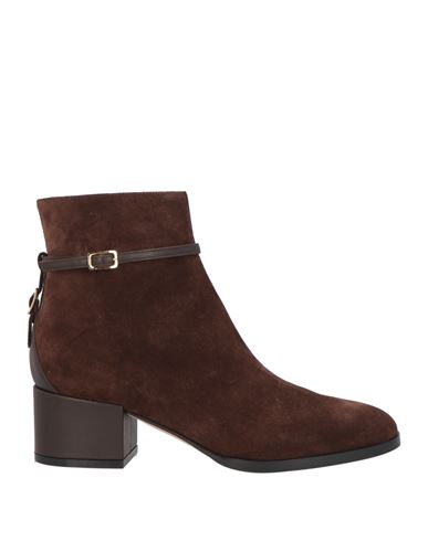 Sergio Rossi Woman Ankle Boots Brown Size 7 Soft Leather In Brown