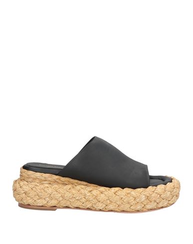 Paloma Barceló Woman Sandals Black Size 8 Leather, Natural Raffia In Black