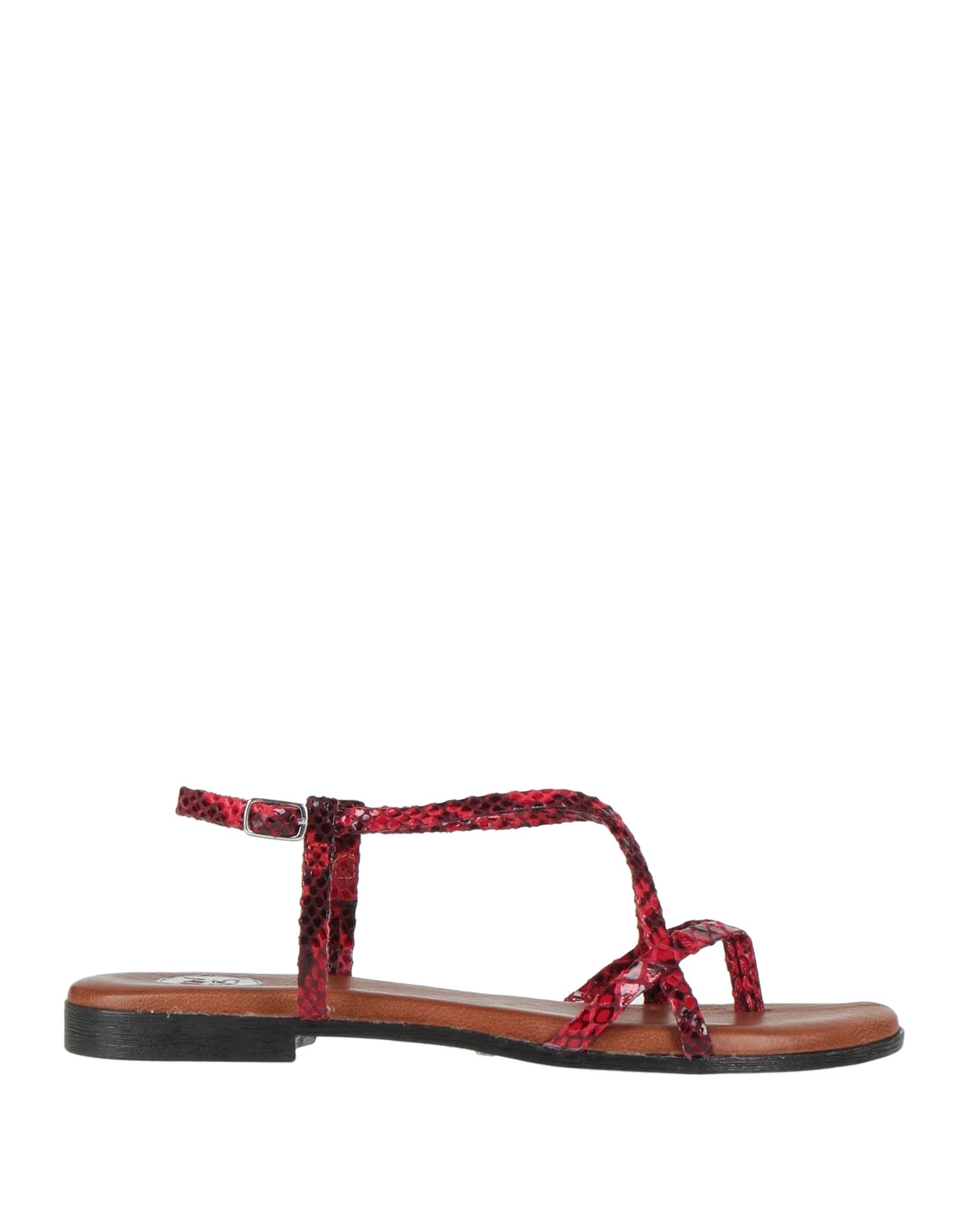 Ph 5.5 Toe Strap Sandals In Red