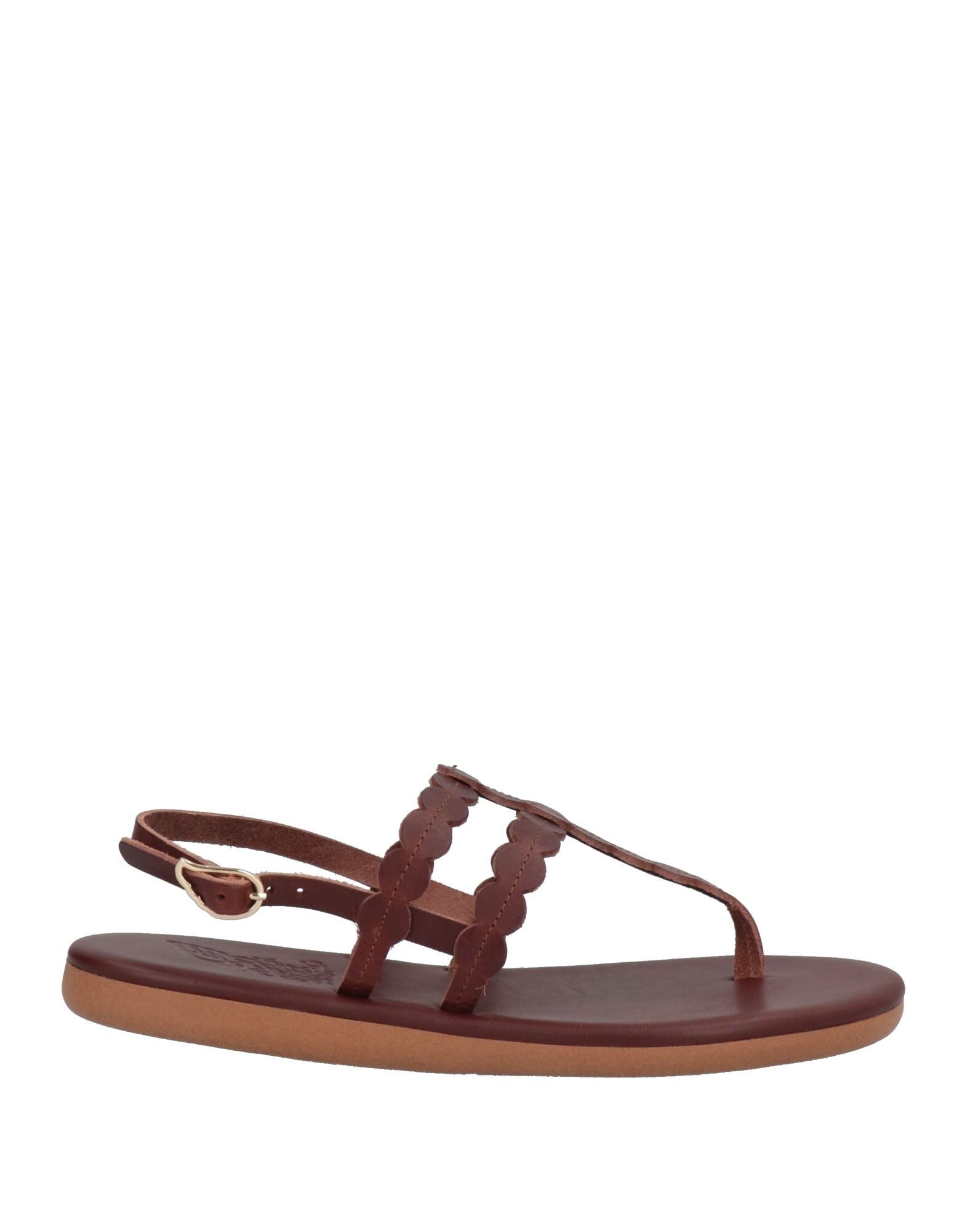 Ancient Greek Sandals Toe Strap Sandals In Cocoa