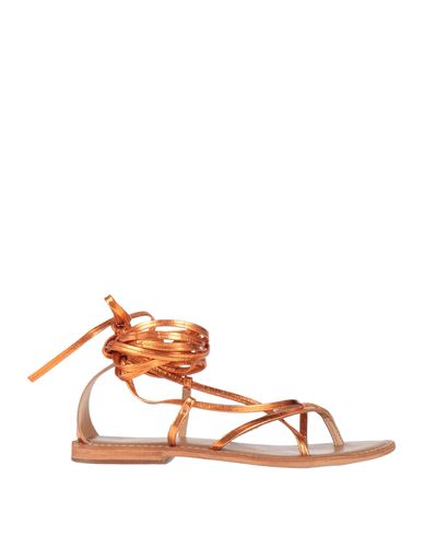 Shop Cb Fusion Woman Thong Sandal Copper Size 7 Leather In Orange
