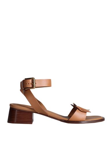 See By Chloé Woman Sandals Tan Size 8 Lambskin In Brown