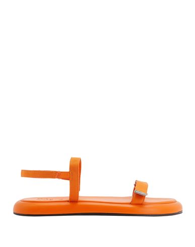 8 By Yoox Leather Adventure Sandals Woman Sandals Orange Size 5 Textile Fibers