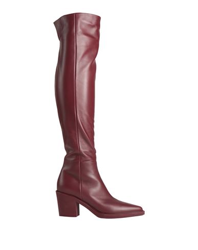 Gianvito Rossi Woman Boot Plum Size 8 Leather