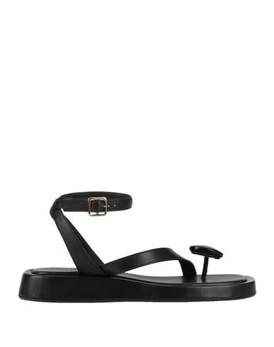 Gia Borghini Woman Thong Sandal Black Size 10 Soft Leather