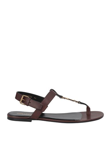 Saint Laurent Man Thong Sandal Cocoa Size 10 Soft Leather In Brown