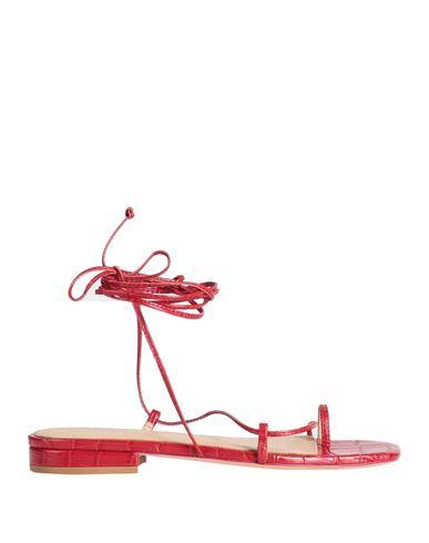 Studio Amelia Woman Toe Strap Sandals Red Size 5 Calfskin