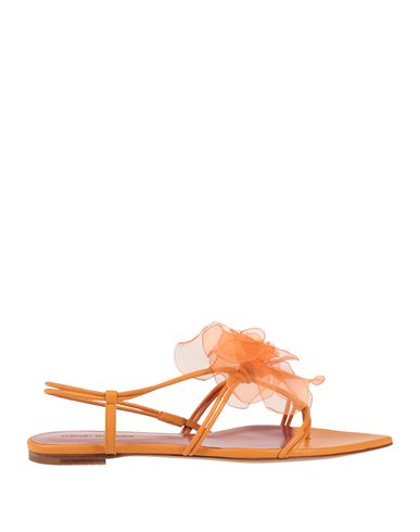 Nensi Dojaka Woman Thong Sandal Mandarin Size 6.5 Leather In Orange