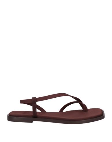 Piferi Pīferi Woman Thong Sandal Chocolate Brown Size 8 Rubber In Brown