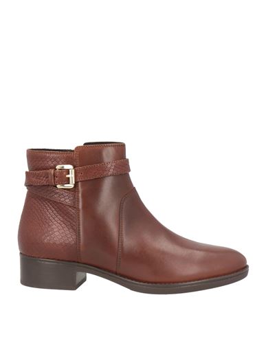 Geox Ankle Boots In Brown