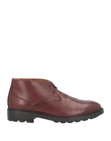 Pollini Man Ankle Boots Brown Size 9 Calfskin | ModeSens