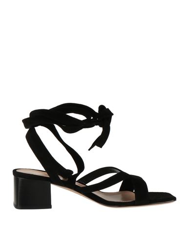 Gianvito Rossi Woman Sandals Black Size 6 Soft Leather