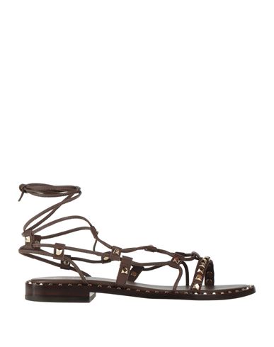 Ash Woman Sandals Dark Brown Size 6 Soft Leather
