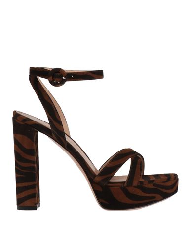 Shop Gianvito Rossi Woman Sandals Brown Size 6 Leather