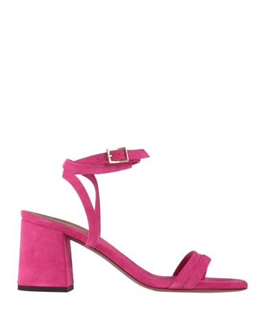 L'autre Chose L' Autre Chose Woman Thong Sandal Magenta Size 6 Leather In Pink