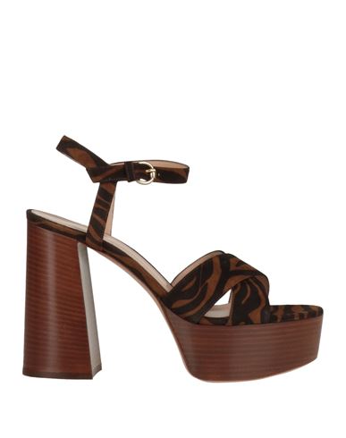 Shop Gianvito Rossi Woman Sandals Brown Size 8 Leather