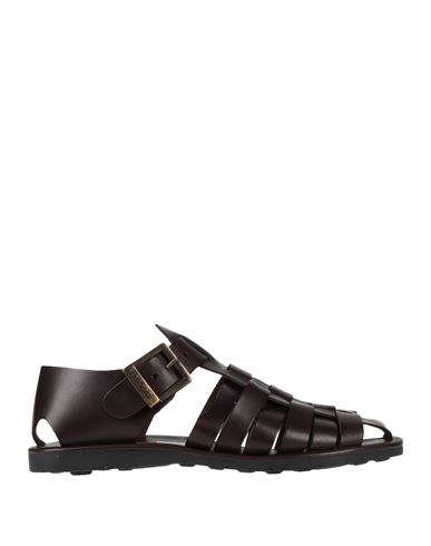 Sandalias Hombre Café 40 Hombre