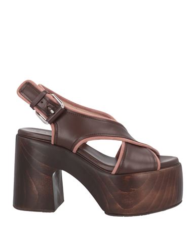 Casadei Woman Mules & Clogs Cocoa Size 6 Leather In Brown