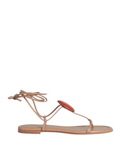 Shop Gianvito Rossi Woman Thong Sandal Light Brown Size 8 Leather In Beige