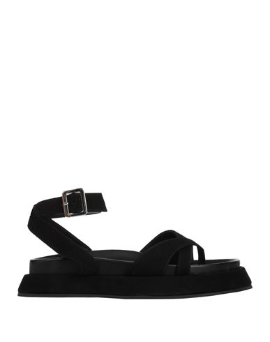 Sandalias de dedo Mujer Negro 36,37,37.5,38,39,39.5,40 Mujer
