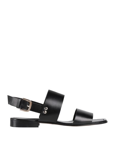 Shop Zanfrini Cantù Woman Sandals Black Size 6.5 Calfskin