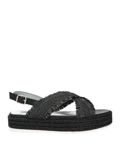 Shop Francesco Milano Woman Sandals Black Size 11 Textile Fibers