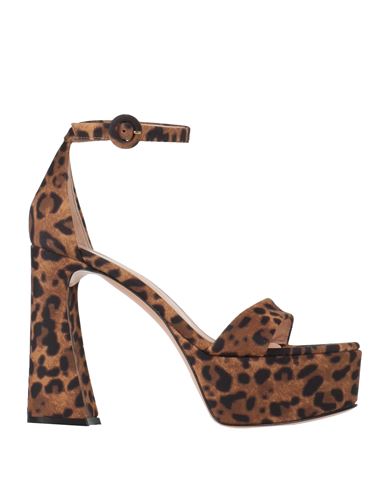 Gianvito Rossi Leopard-print Suede Platform Sandals In Brown