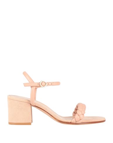 Gianvito Rossi Woman Sandals Blush Size 6.5 Leather In Pink