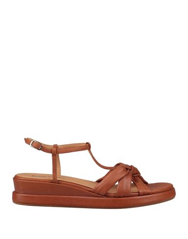 Shop Elvio Zanon Woman Sandals Tan Size 6 Leather In Brown