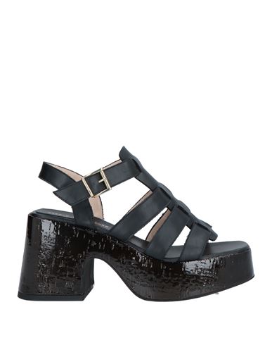 Shop Sergio Cimadamore Woman Sandals Black Size 7 Leather