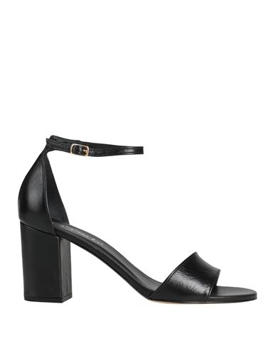 Shop O'dan Li Woman Sandals Black Size 10 Leather