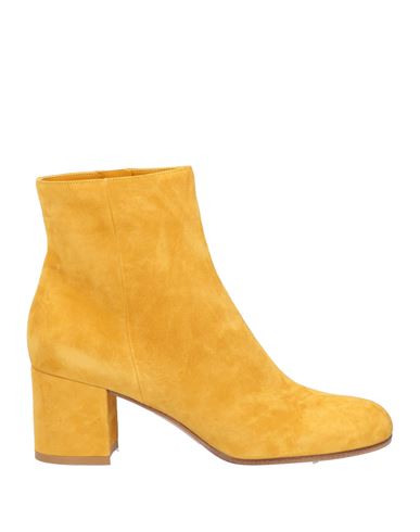 Gianvito Rossi Woman Ankle Boots Ocher Size 8 Leather In Yellow