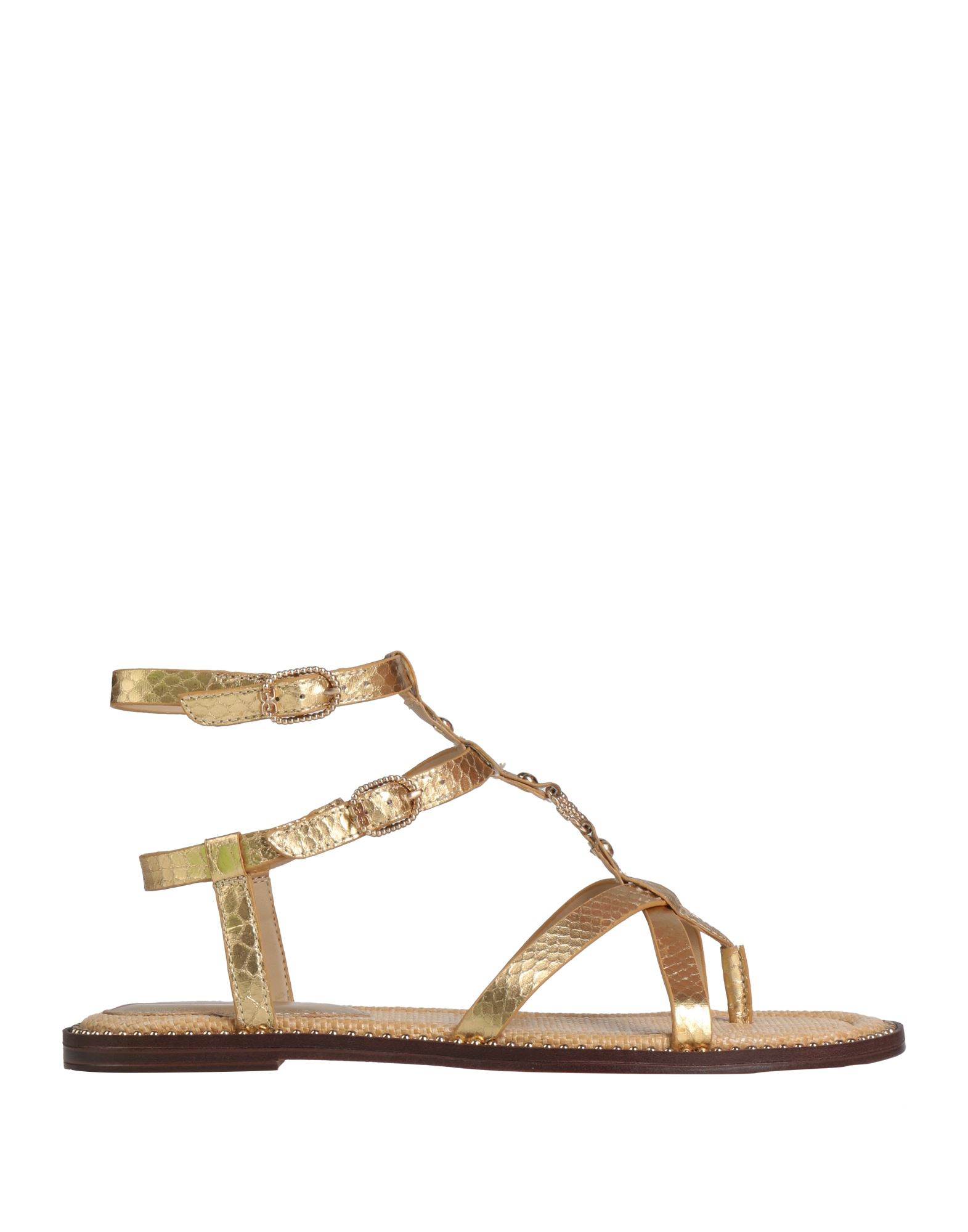 SAM EDELMAN SAM EDELMAN ΠΑΠΟΥΤΣΙΑ Σαγιονάρες