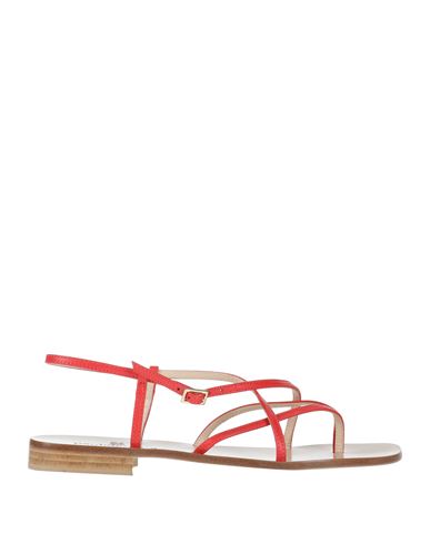 Paolo Ferrara Woman Thong Sandal Red Size 8 Leather In Red