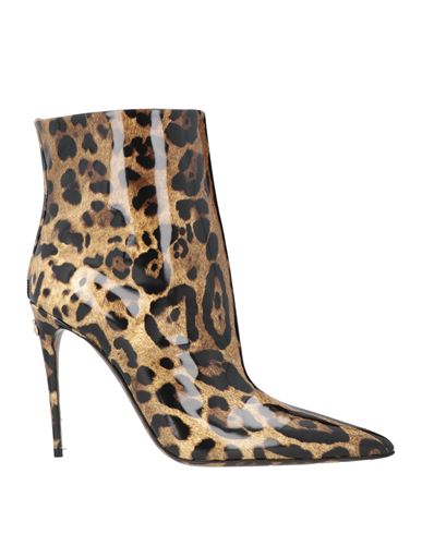 Dolce & Gabbana Woman Ankle Boots Brown Size 5.5 Leather