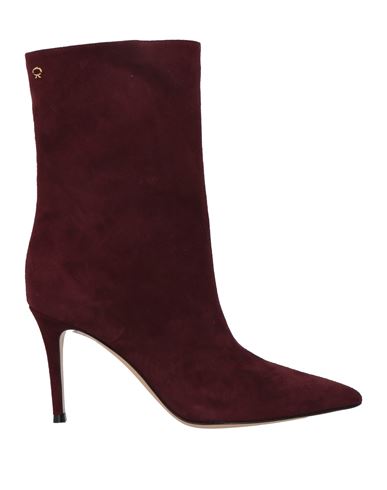 Shop Gianvito Rossi Woman Ankle Boots Burgundy Size 8 Leather In Red