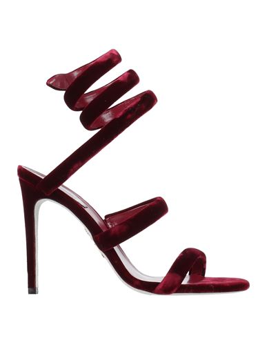 René Caovilla Rene Caovilla Cleo 80 Velvet Sandals In Burgundy