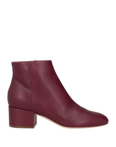 Sergio Rossi Woman Ankle Boots Garnet Size 6.5 Leather In Red