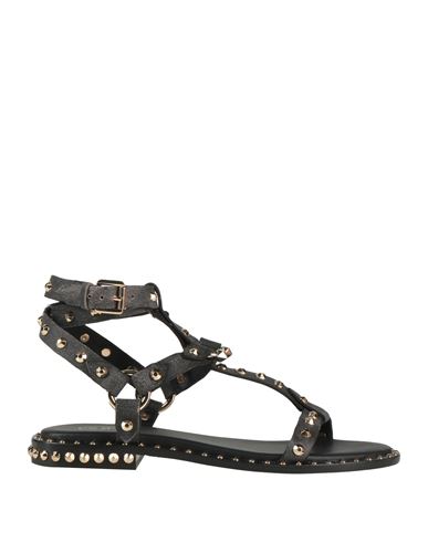 Ash Stud-embellished Leather Sandals In Black